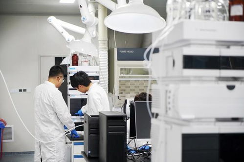 樣機(jī)變產(chǎn)品,上海服務(wù)機(jī)構(gòu)走通 概念驗證 科技服務(wù)如何按下快進(jìn)鍵 下